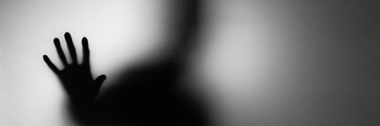 hidgui's profile banner image