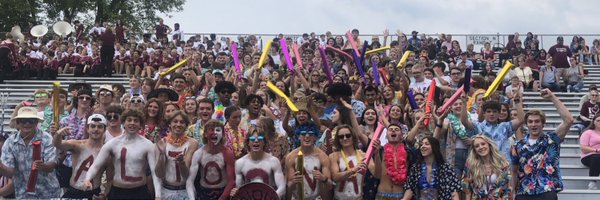 LionsMt Profile Banner