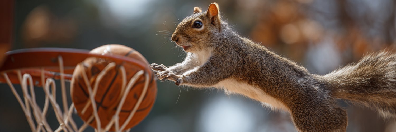 Squirrel🐿️Sports banner