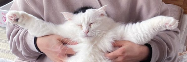 _amtAlc Profile Banner