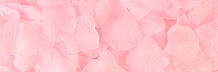 🐷หมูชมภู🐽 banner