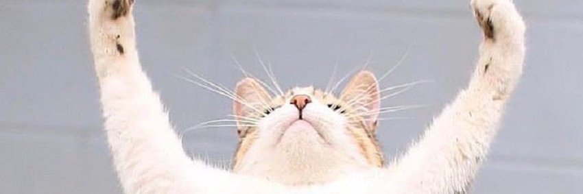 kon48's profile banner image
