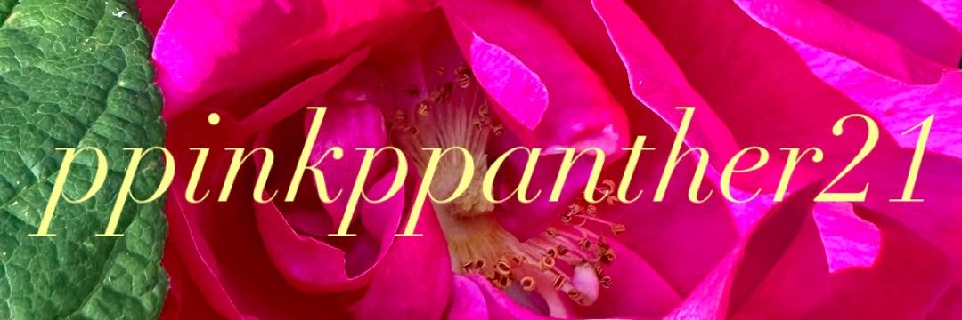 💖PINK_PPANTHER21🪩 banner