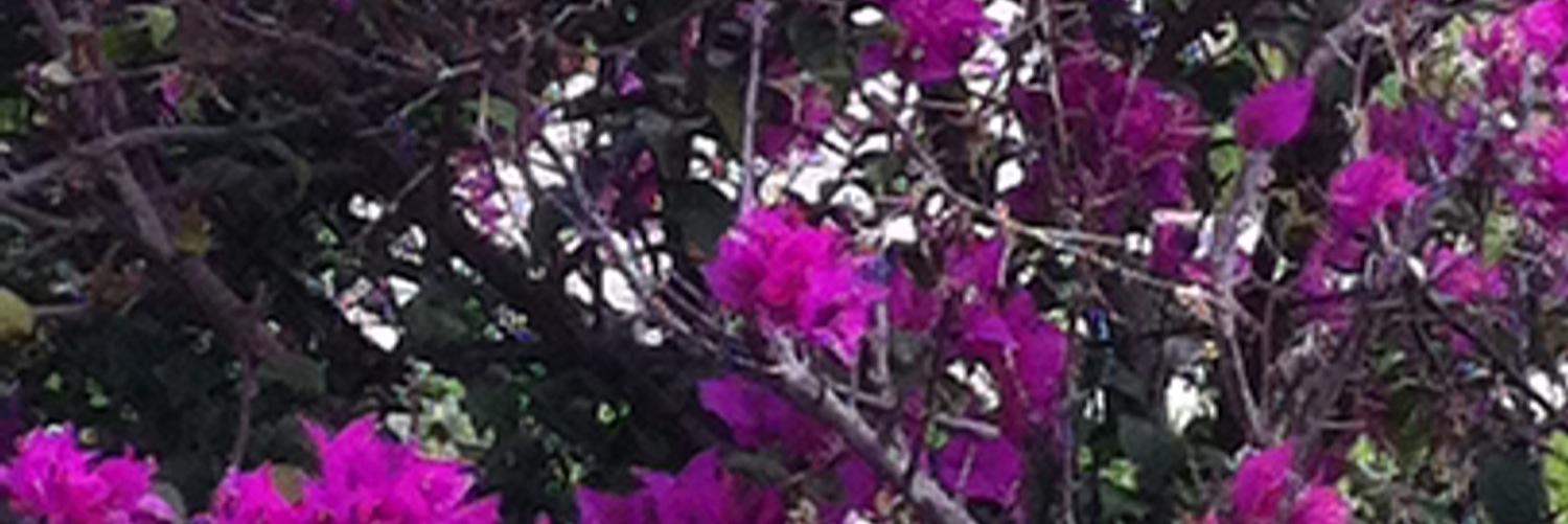 E8er's profile banner image