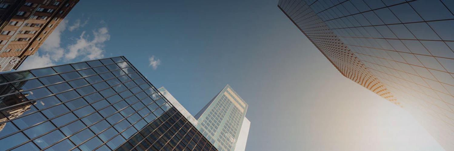 Logos Consulting banner