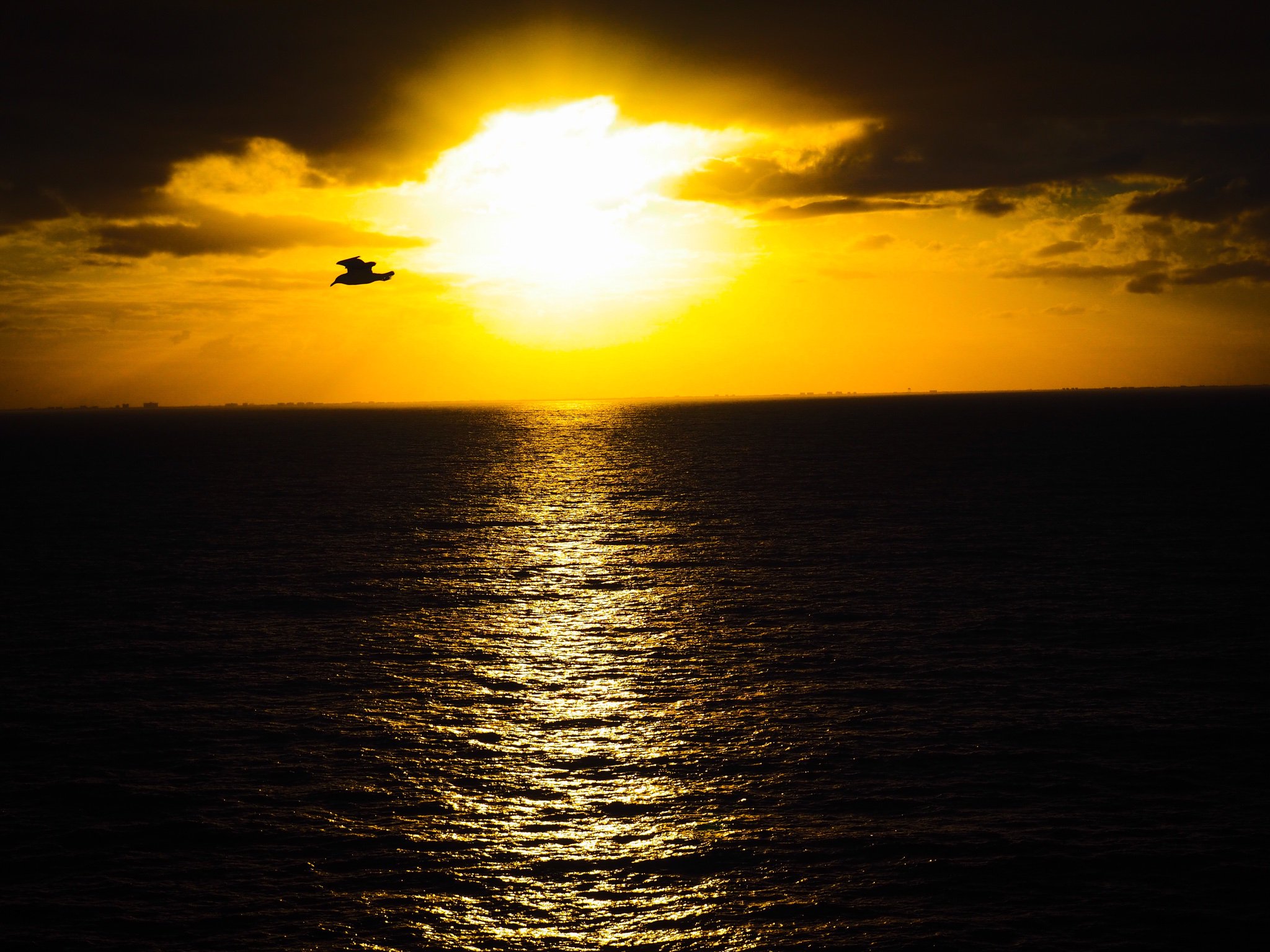 jpst78's profile banner image