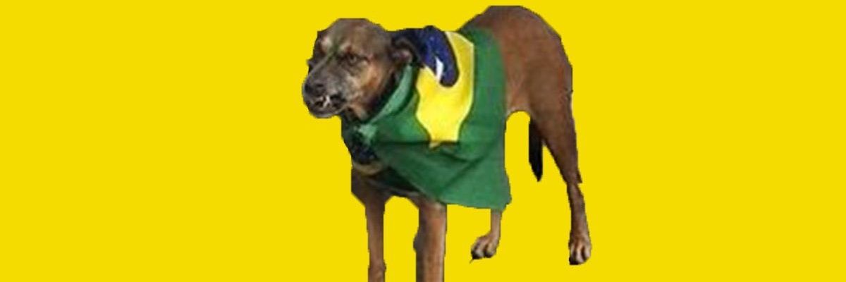 dllwatt's profile banner image