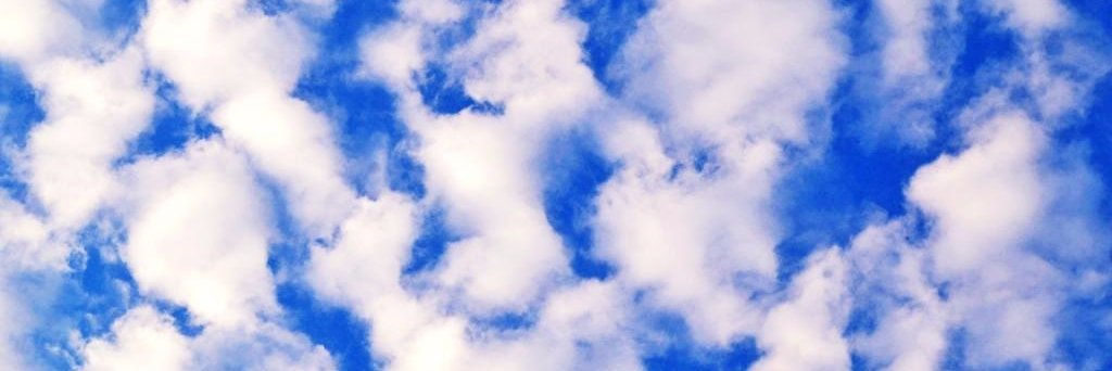 tlyndonna's profile banner image