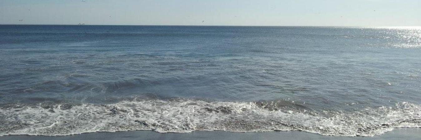 Gutishark004's profile banner image