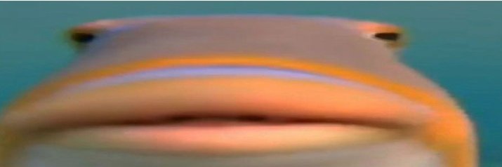 PruneTheThird's profile banner image