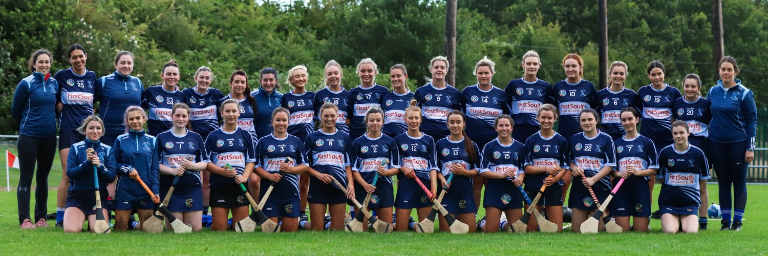 Brian Dillons Camogie Club banner