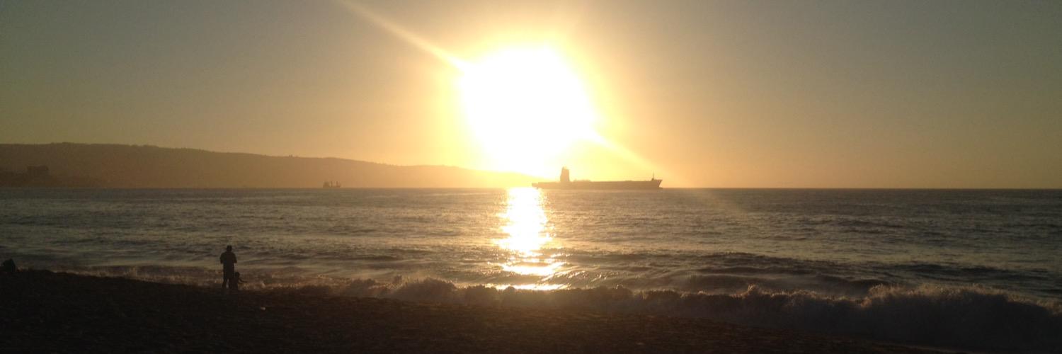 Vanessa Toro Mora 🌳 banner