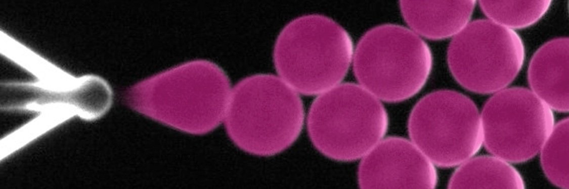 Siddharth Deshpande banner