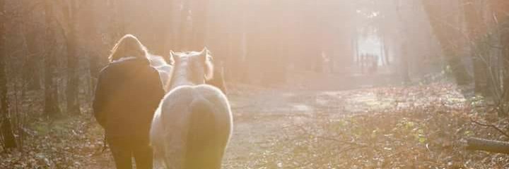 Nyncke Lingsma banner