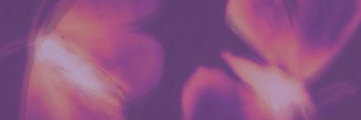 sevenleqends's profile banner image