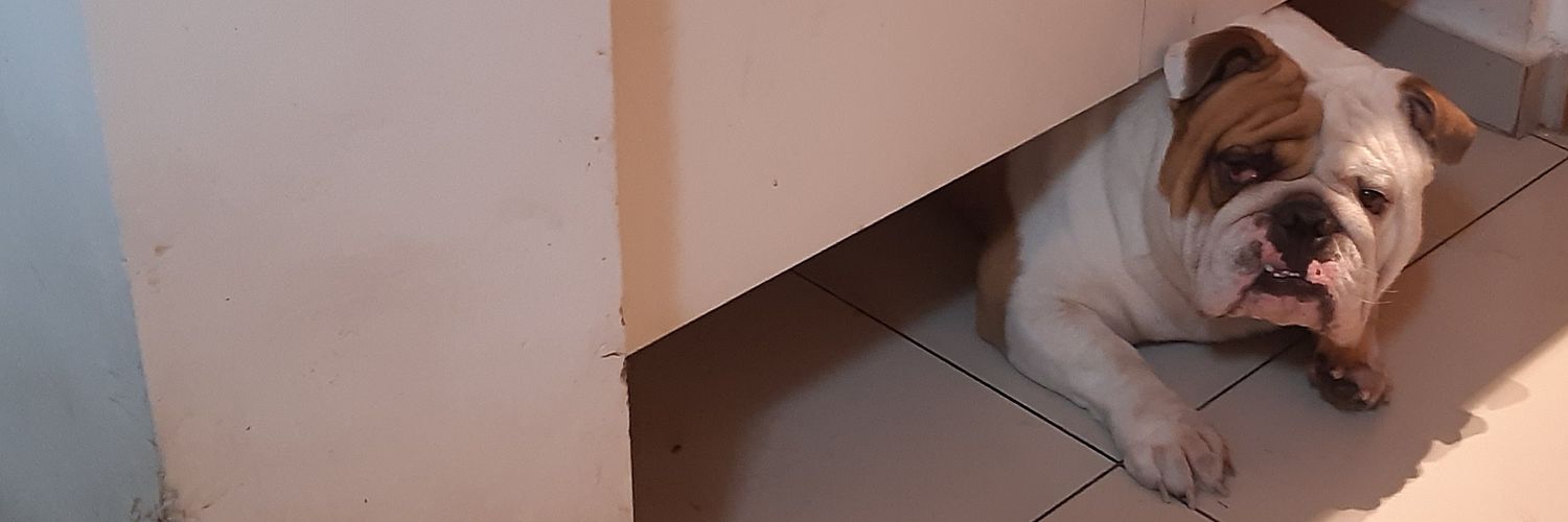 Ricardo Rodrigues $UNIO banner