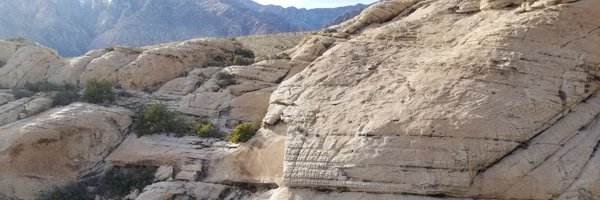 NIKKYIDM Profile Banner