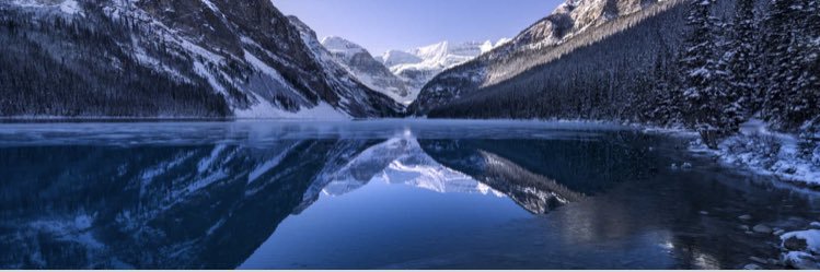 C. Rapa-Perri 🌻 banner