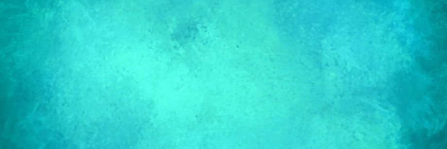 Claire Alison Hams banner