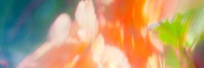 ___majose___'s profile banner image