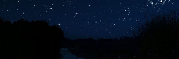 naayu_bjd Profile Banner