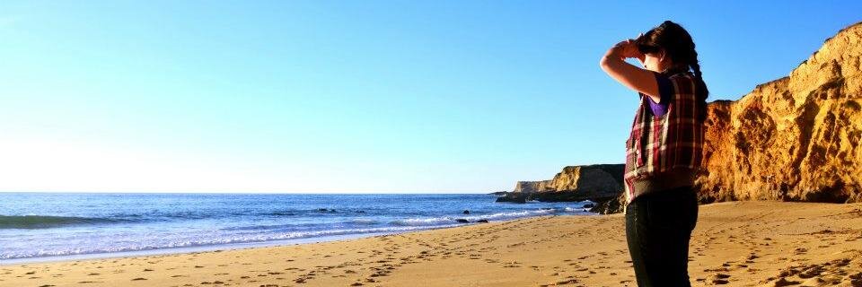 Gillian Walker banner