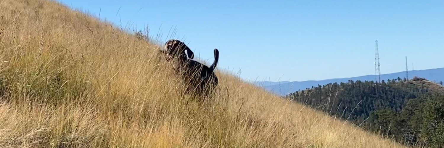 Nick12's profile banner image