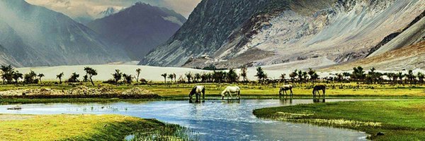 Husssainii Profile Banner