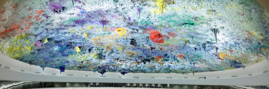 APSA Human Rights banner