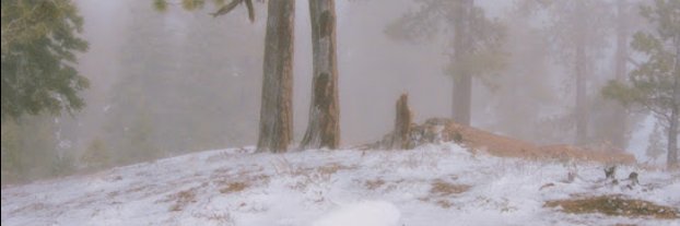 dias banner