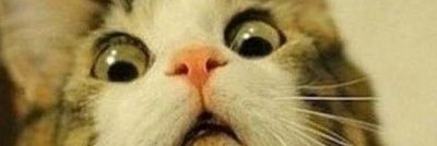 MPusa81's profile banner image