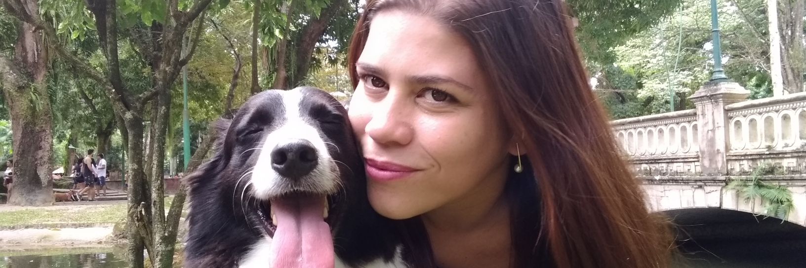 Cida_Wanzeler's profile banner image