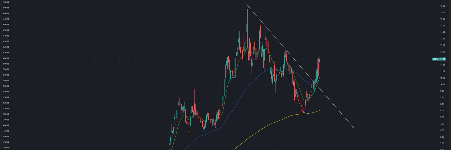 cool mango trader banner