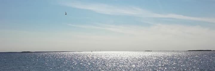 mtuomela's profile banner image