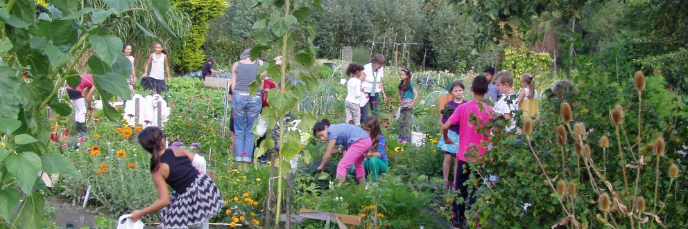 KindertuinDelft's profile banner image