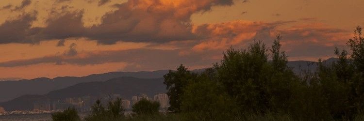 Scene_04's profile banner image