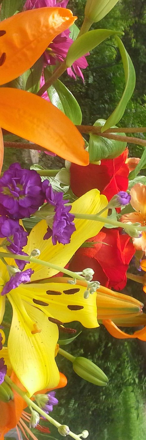 Cla656's profile banner image