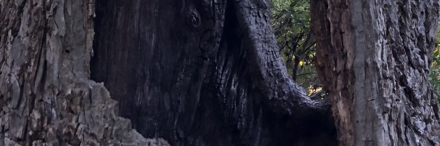 Arthur Vanderbilt banner