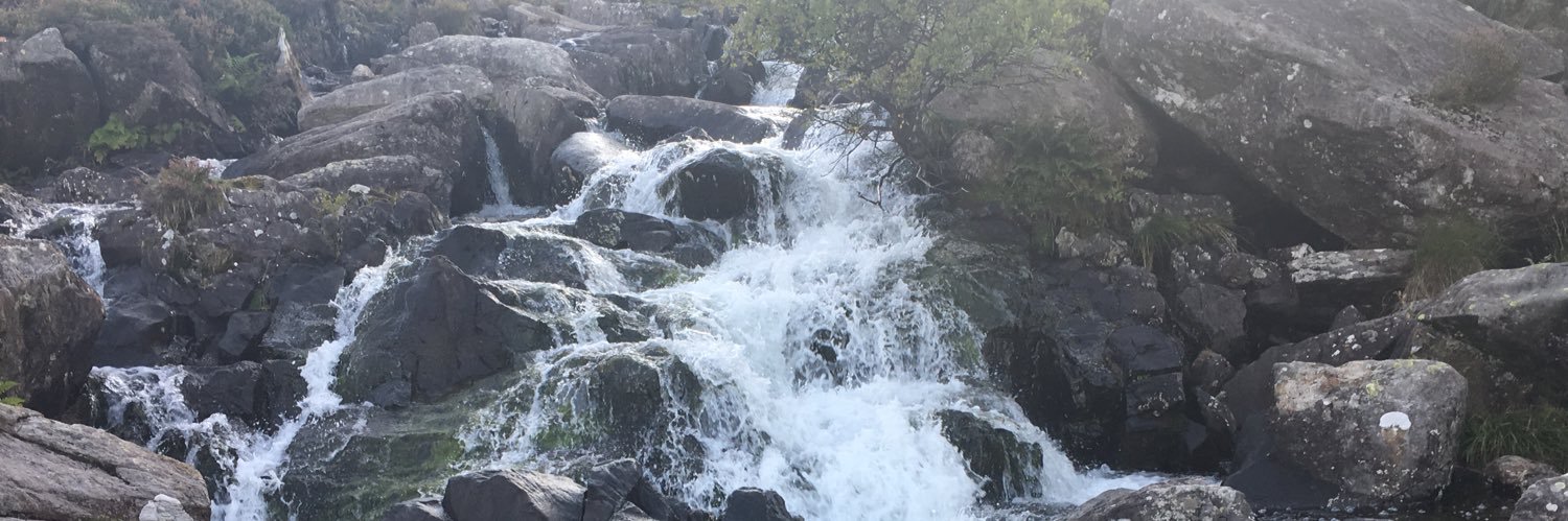 Lydia-Ann Ghuneim, PhD banner