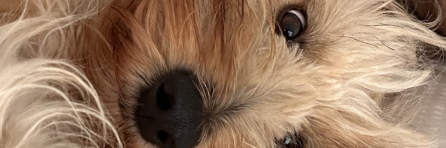 laaaaurasof's profile banner image