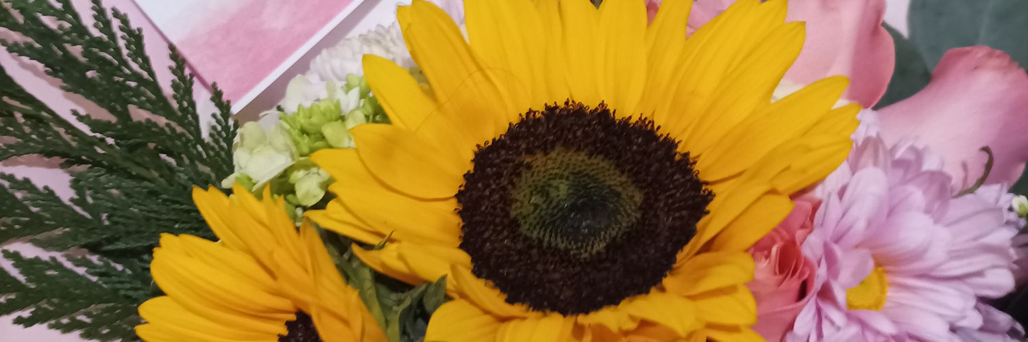 feeeeeeerr's profile banner image