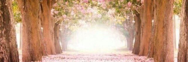RyuNNNNN7's profile banner image