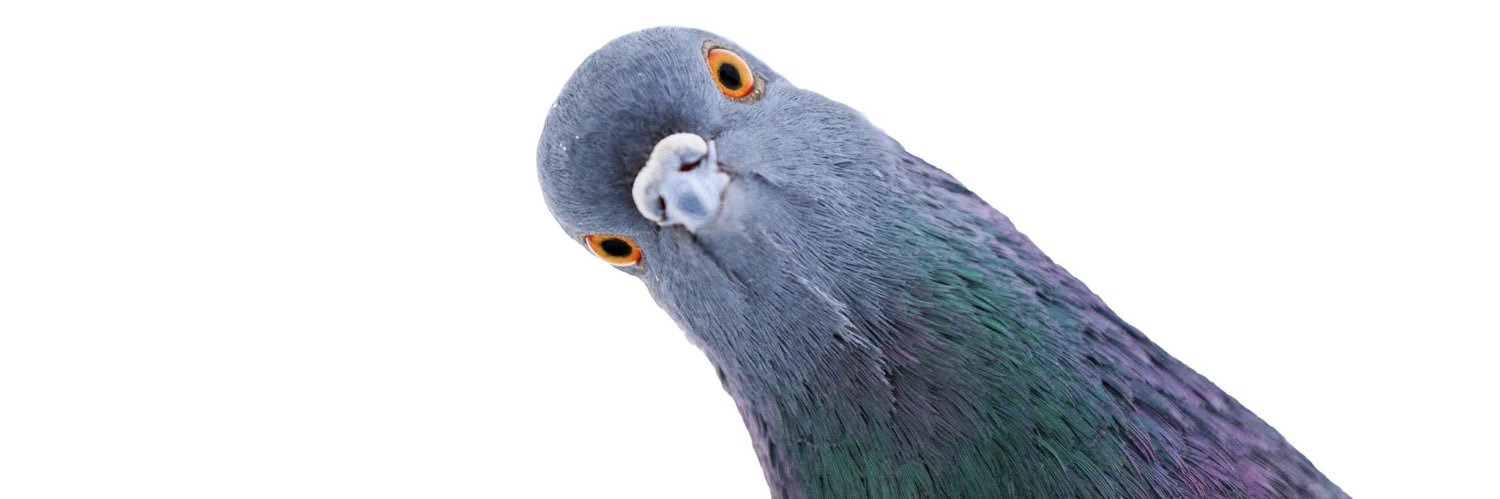 🅹🅴🆃🅱🅻🅰🅲🅺🅸🅿🅷🅾🅽🅴🆇 banner