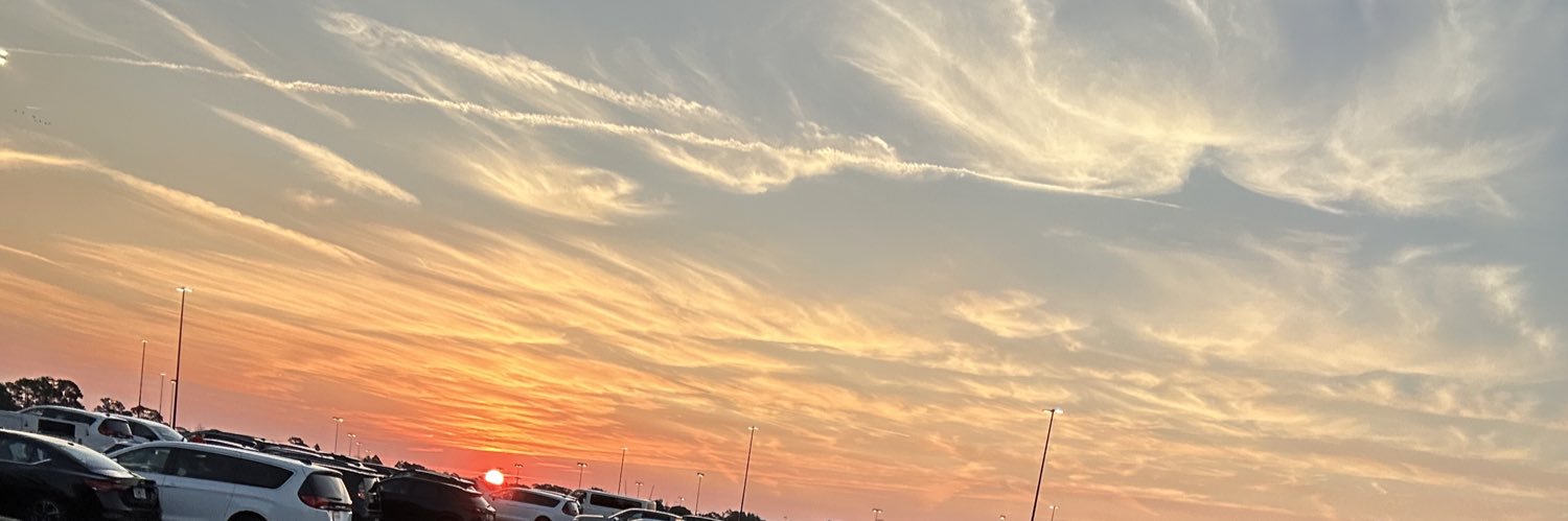 leogravier's profile banner image