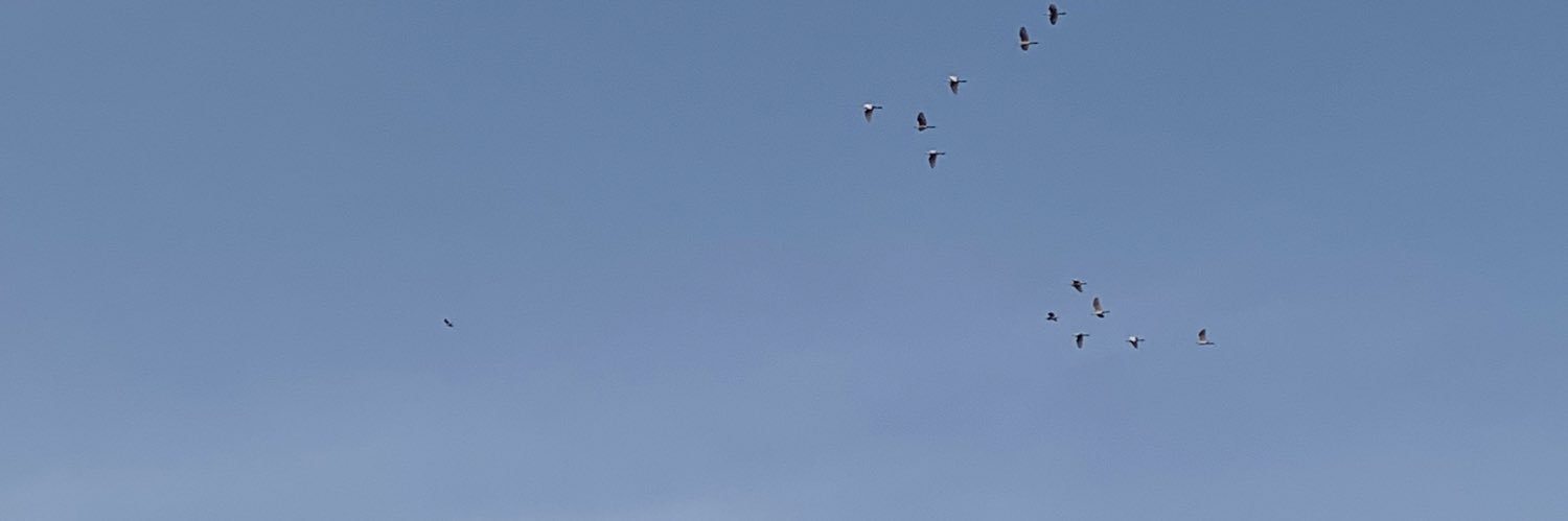 lnkmstttt's profile banner image