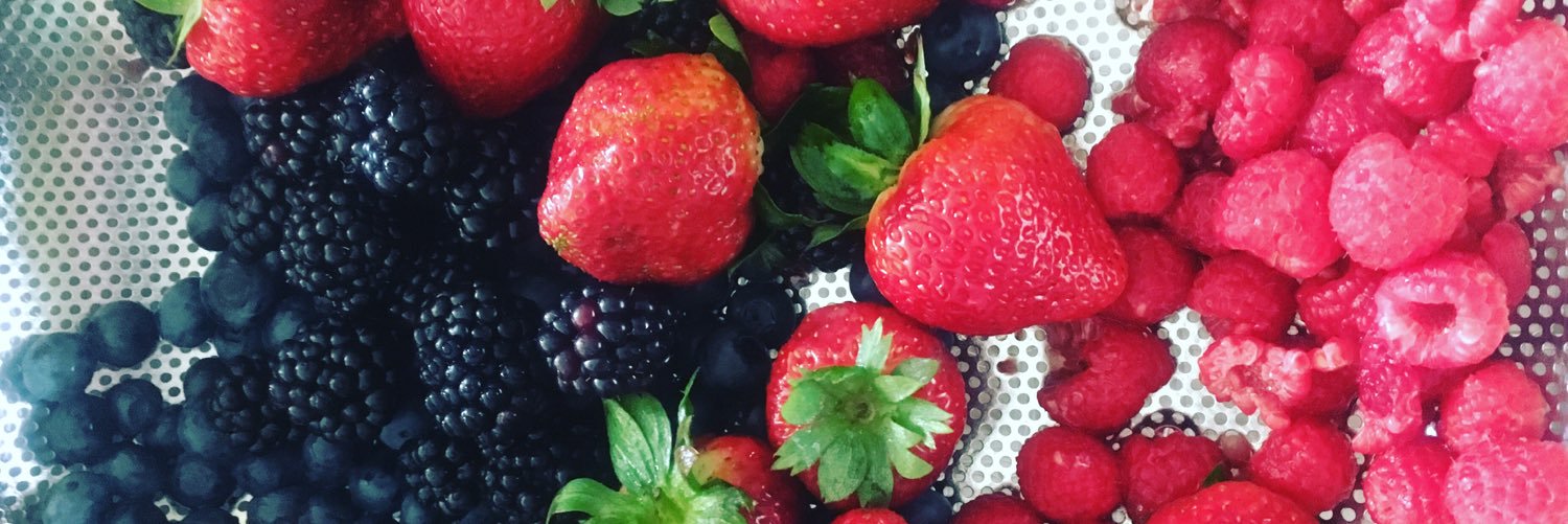 Susan Greeley banner