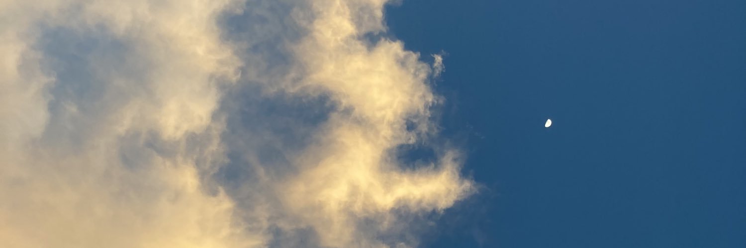 Yoshi_dhz's profile banner image