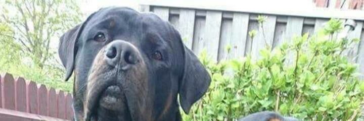 Bg31176069's profile banner image