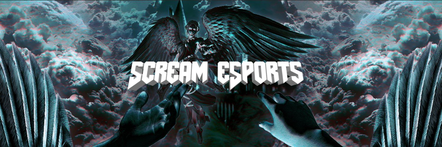 ScreamLLC's profile banner image