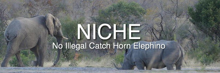 NICHEorg's profile banner image